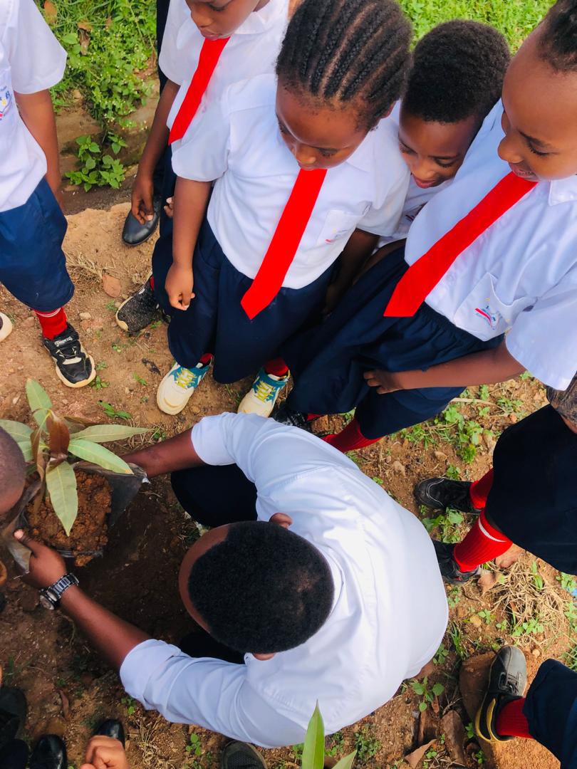 🌳 Tree-Planting Day at Le Plaisir d’Enfant Event